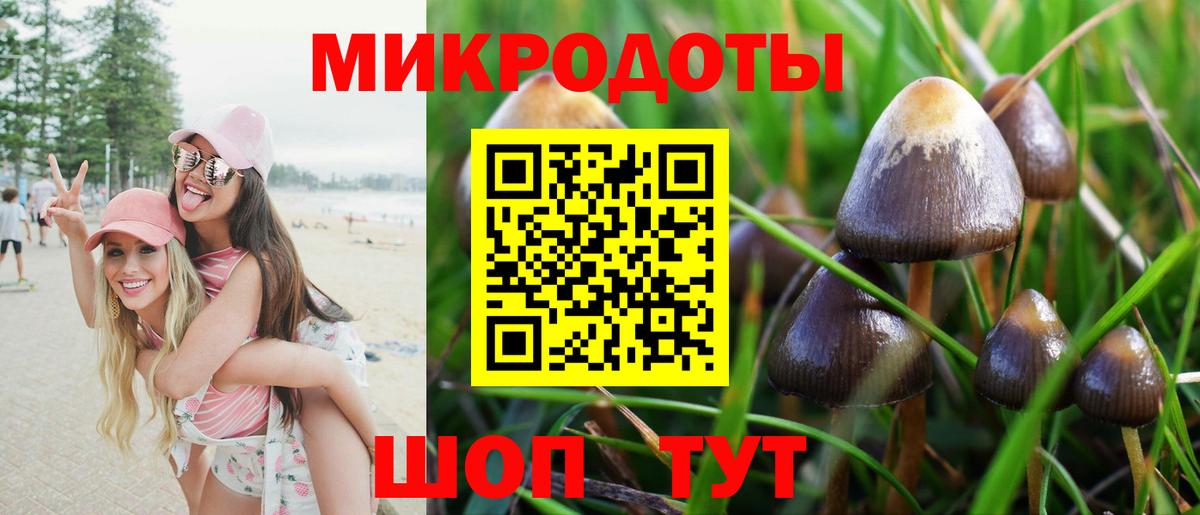Псилоцибиновые грибы мицелий  Галлюциногенные грибы GOLDEN TEACHER  Вход с VPN  Кызыл 