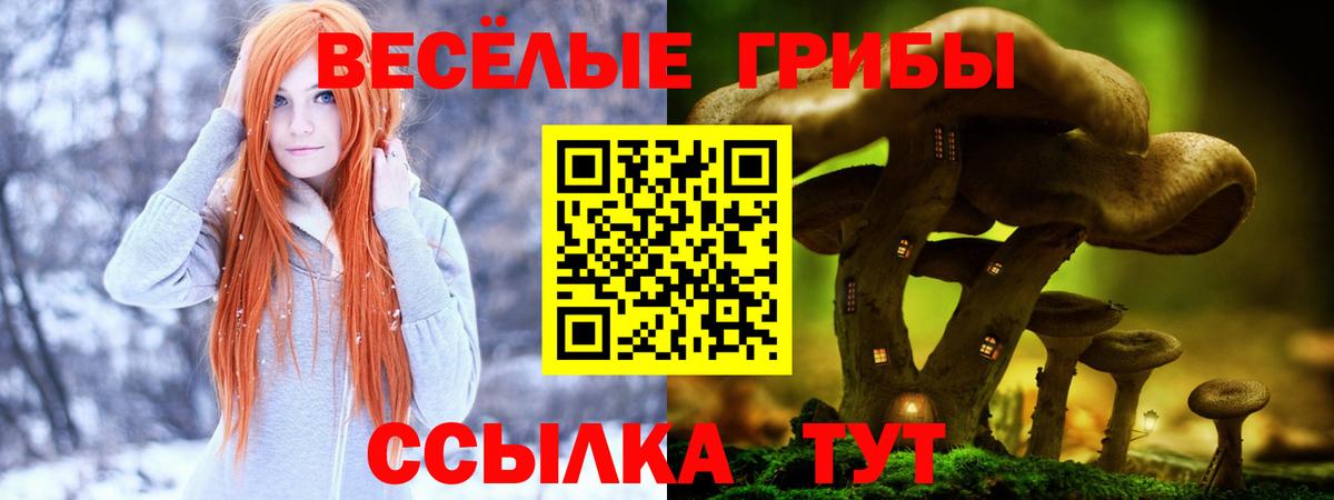 Псилоцибиновые грибы прущие грибы Кызыл